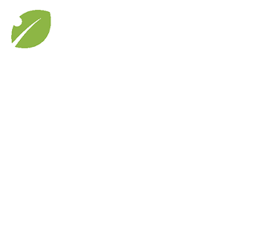 Vitalidade do início ao fim