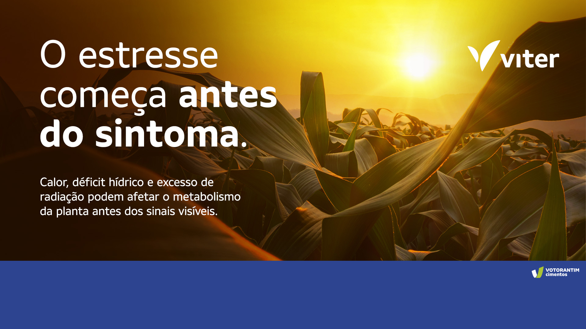 O estresse começa antes do sintoma.